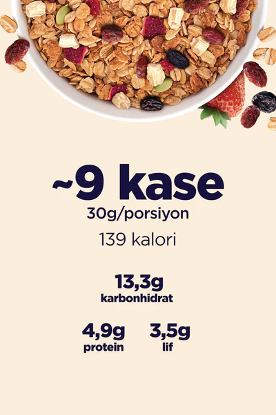 Fellas Vegan Premium Granola Kırmızı Meyveler 270 Gr 4 Granola_3_Kirmizi_Meyveler